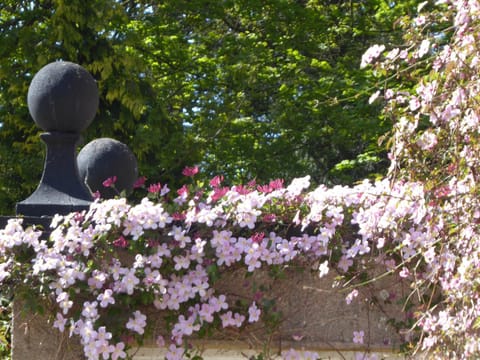 O'Harabrook Country House Bed and Breakfast in Northern Ireland