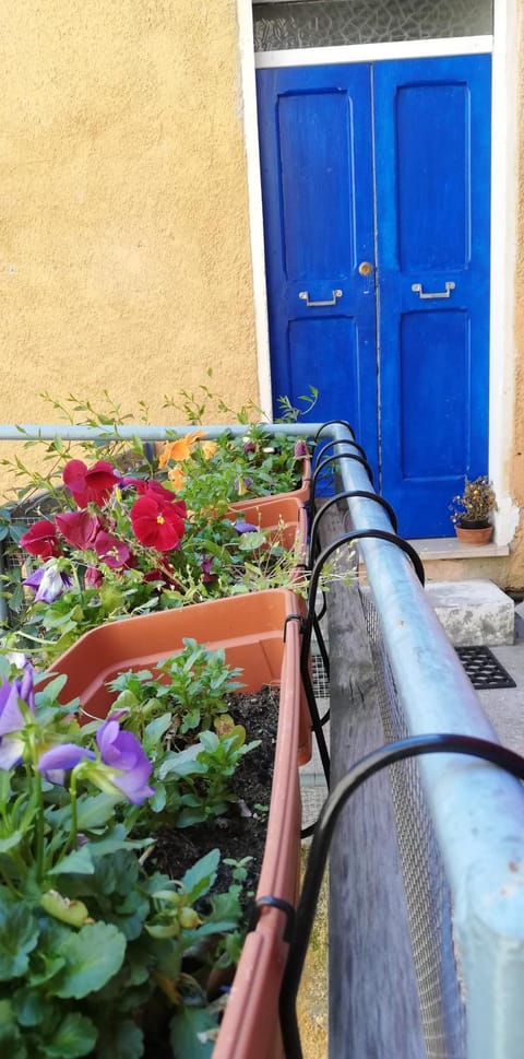 Blu Klein Apartment in Foligno