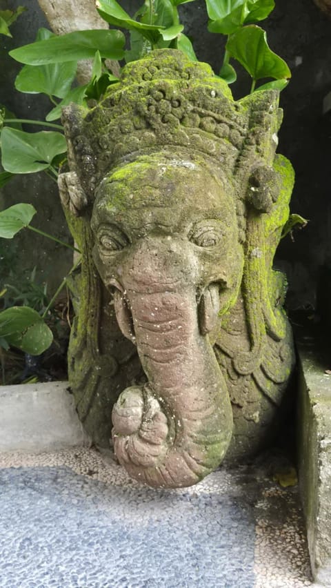 Property building, Day, Natural landscape