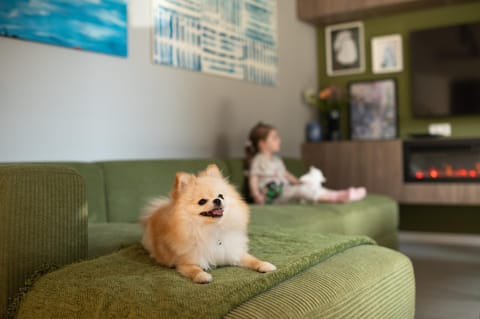 Communal lounge/ TV room, TV and multimedia, Living room, Seating area, Animals, Animals, Pets, Pets, Pets, children, children, young children, young children, fireplace, fireplace, pet friendly, pet friendly