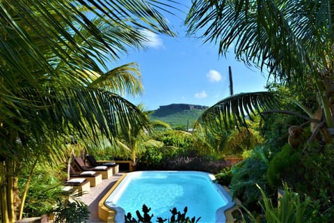 Garden, Mountain view, Pool view