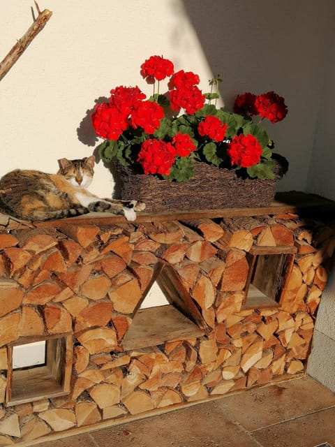 Facade/entrance, Pets