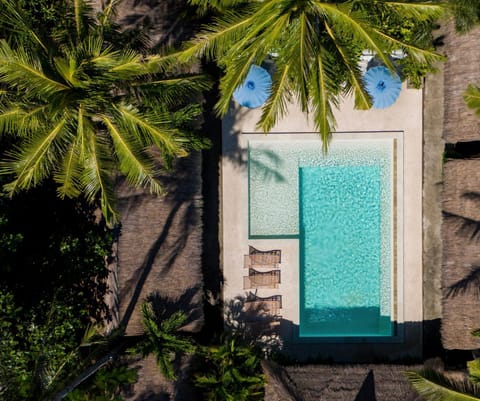 Garden, Garden view, Pool view, Swimming pool, sunbed