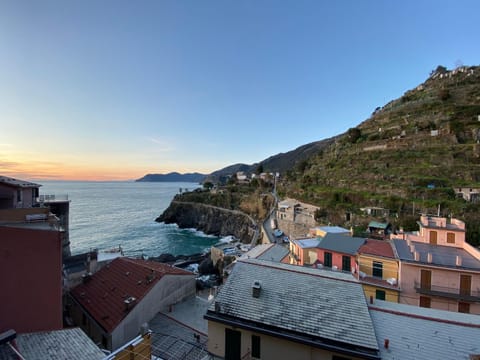 “Ivory house”with sea view Apartment in Manarola