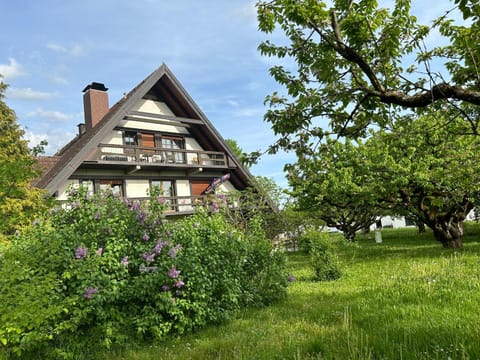 Gästehaus Obsthof Gottenheim Bed and Breakfast in Freiburg