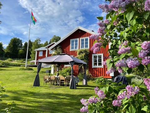Property building, Summer, Garden view, group of guests