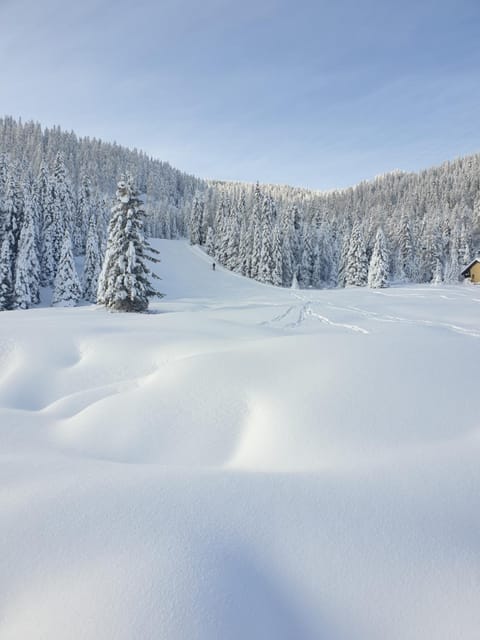 Natural landscape, Winter, Area and facilities