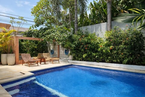 Smiling Cactus Villas - Seminyak Villa in Kuta