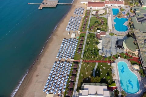 Day, Beach, Pool view, Sea view, Swimming pool, sunbed