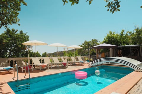 Day, Pool view, Swimming pool