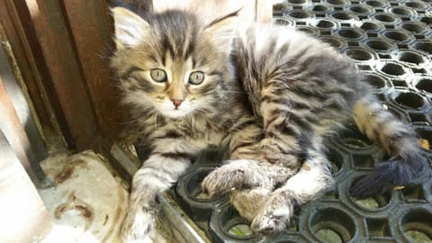 Familienpension Gletscherblick Bed and Breakfast in Carinthia, Austria