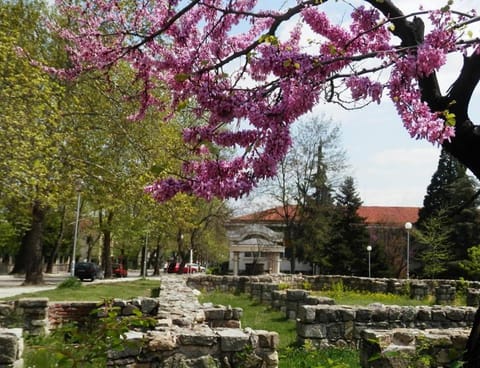 Апартамент 13 Apartment in Plovdiv Province