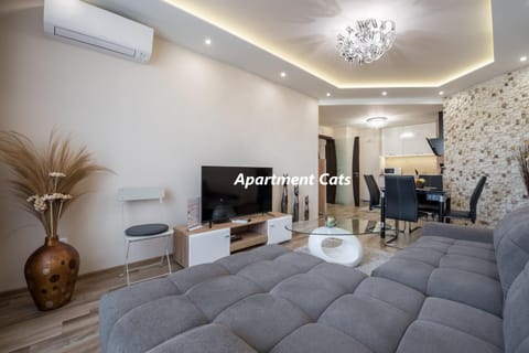 TV and multimedia, Kitchen or kitchenette, Living room, Seating area, Dining area