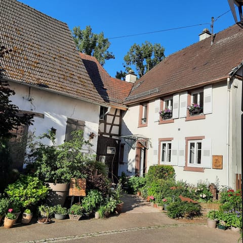 Property building, Facade/entrance, Day, Garden view, Street view