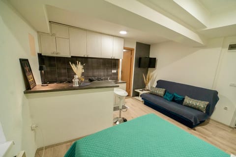 Apartmani Aleksandra u centru grada Apartment in Serbia