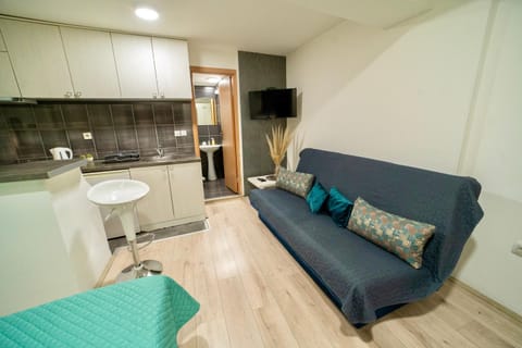 Apartmani Aleksandra u centru grada Apartment in Serbia