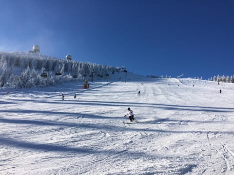 Activities, Ski School, Skiing, View (from property/room), Mountain view