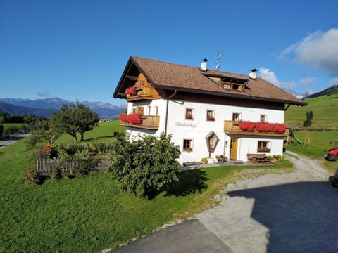 Property building, Summer, Garden, Garden view