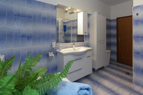 Shower, Bathroom, Decorative detail