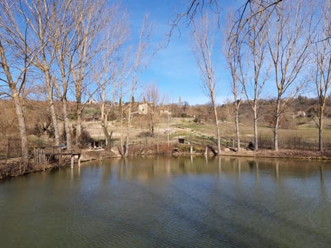 Decorative detail, Lake view
