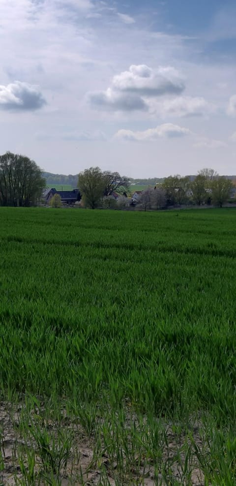 Ferienwohnung Leopold-Risch Apartment in Mecklenburg-Vorpommern, Germany