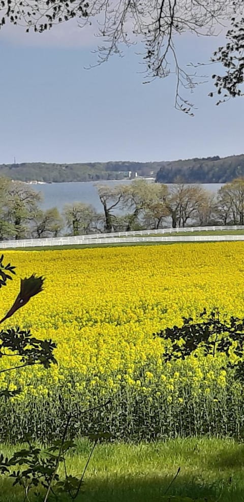 Ferienwohnung Leopold-Risch Apartment in Mecklenburg-Vorpommern, Germany