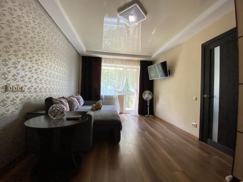 Communal lounge/ TV room, TV and multimedia, Living room, Seating area, fireplace