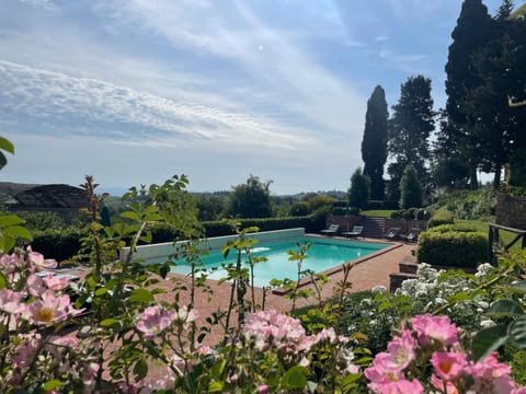 Pool view, Swimming pool