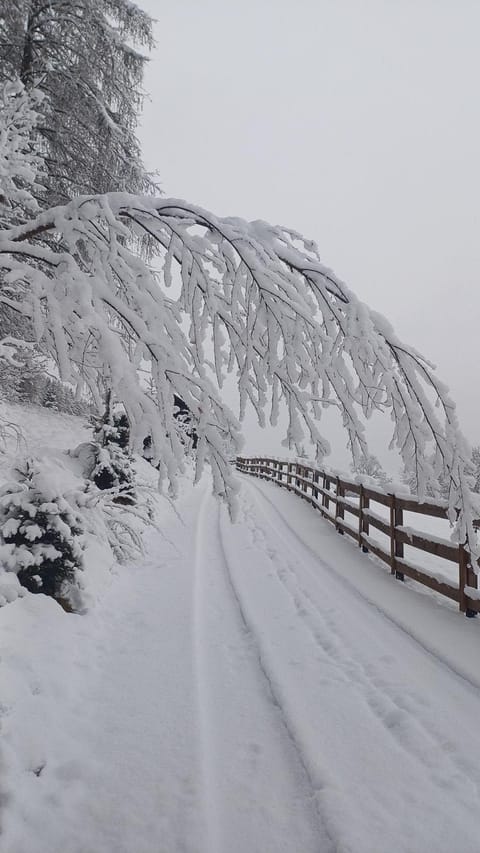 s'Peaters Apartment in Tyrol