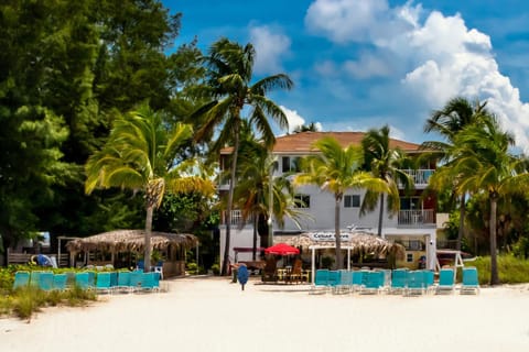 Property building, View (from property/room), Beach, sunbed