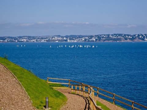 Curlew 4 - The Cove Apartment in Brixham