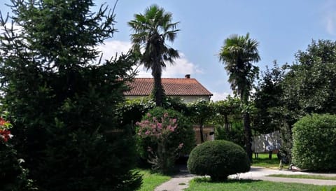 Pensions Airport Apartment in Podgorica