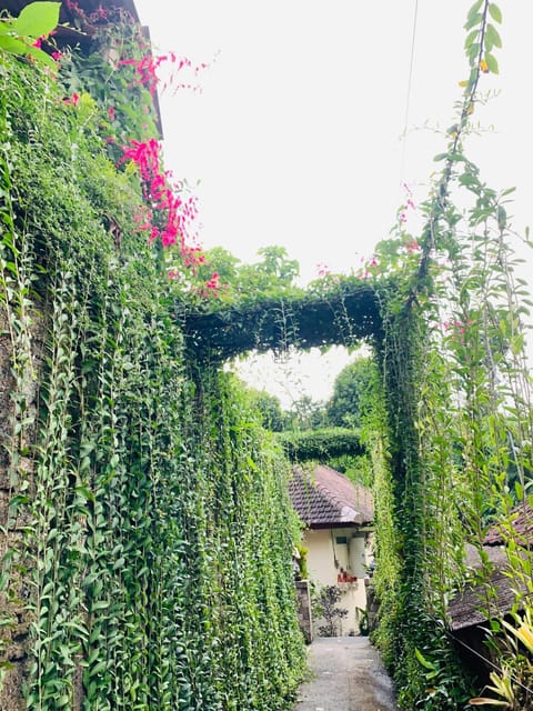 Gek House Ubud Bali Bed and Breakfast in Ubud