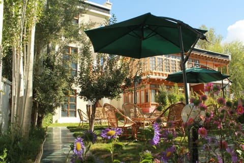 Garden view
