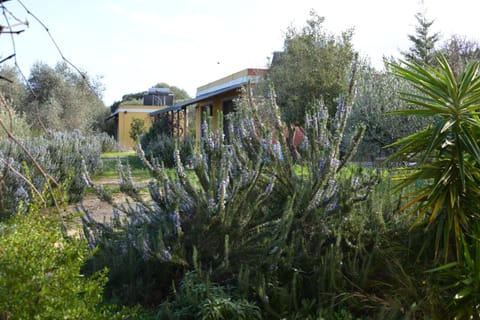 B&B Casa per ferie VillaggioCarovana House in Sardinia