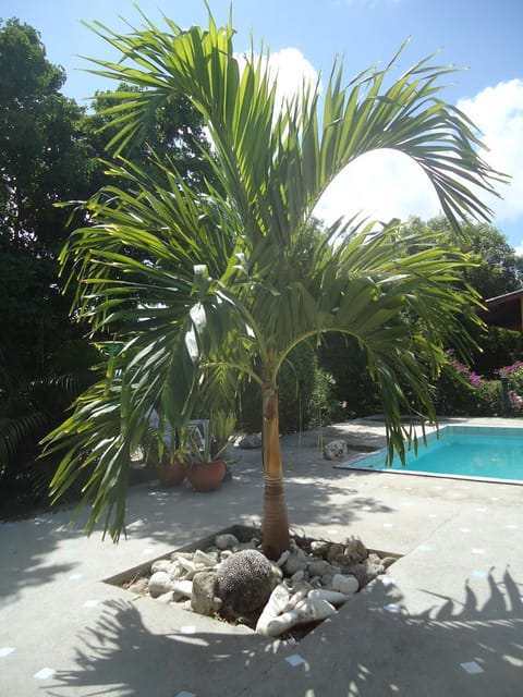 Day, Garden, Other, Garden view, Swimming pool