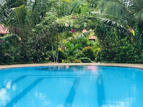 Day, Natural landscape, Garden, Garden view, Pool view, Swimming pool