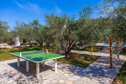 Garden, Table tennis, Seating area