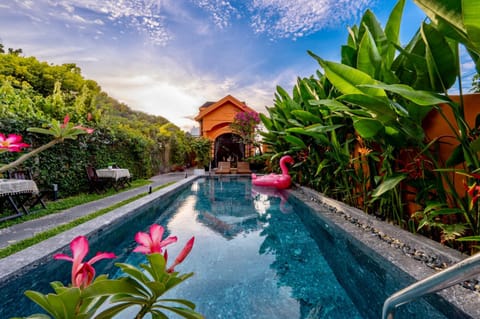 Day, Natural landscape, Garden, Garden view, Swimming pool, Swimming pool