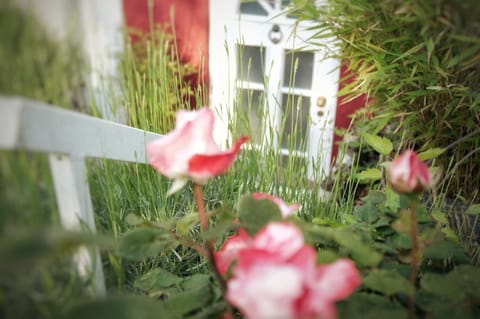 Gonsenheim 1-Zimmer Apartment nah am Wald Apartment in Mainz