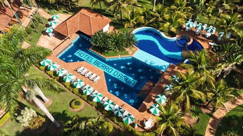 Day, Bird's eye view, Garden, Garden view, Pool view, Swimming pool, sunbed