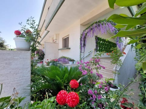 Property building, Day, Garden, Garden, Garden view
