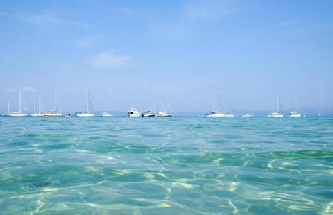 HEBERGEMENTS BATEAUX A QUAI Docked boat in Hyères