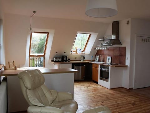 Coffee/tea facilities, Kitchen or kitchenette, Seating area, Dining area, pet friendly, stove, toaster