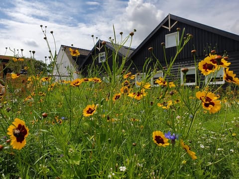 De Bonte beleving House in Oostkapelle