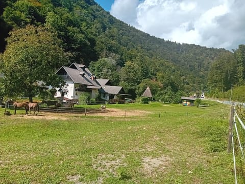 Property building, Day, Natural landscape, Garden view