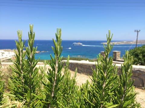 On site, Sea view