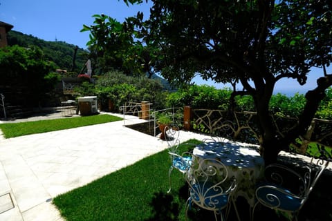 Spring, Day, Garden, Garden view