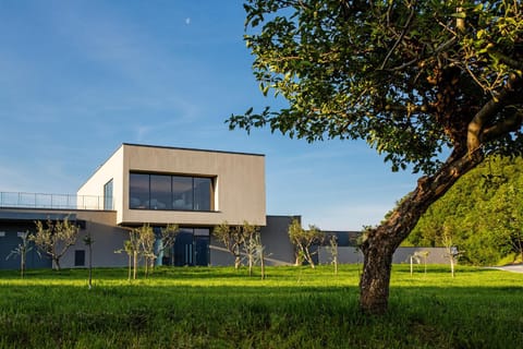 Property building, Day, Natural landscape, Garden, Garden view