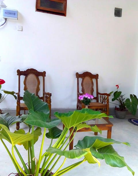 Day, Other, On site, Garden view